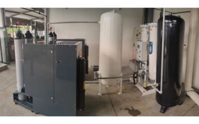 O papel do nitrogênio na indústria alimentícia